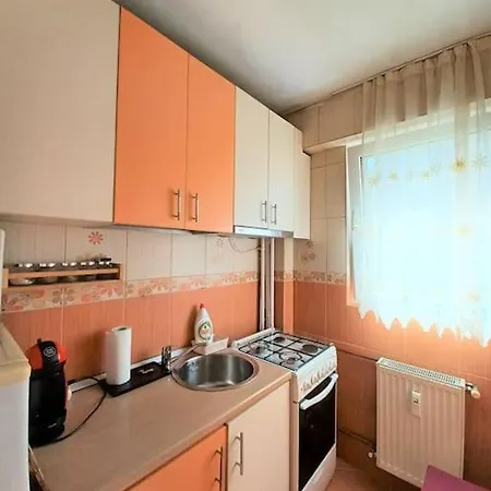 Apartment Garsoniera Linistita Zona Vitan